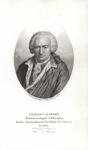 Charles Bonnet by Jens Juel